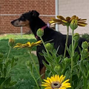 Meet your Posher, Kimberly